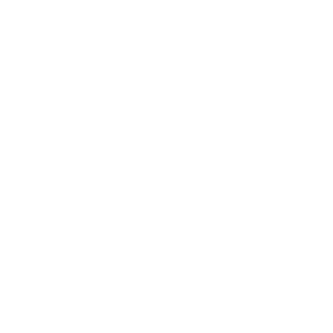 nieuwsbrief-zegel